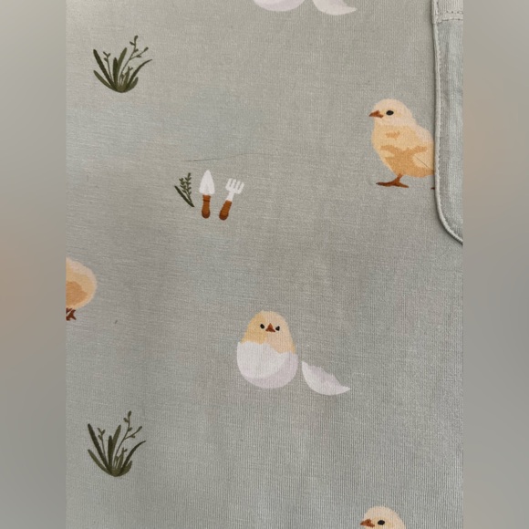 Kyte Baby Crew Neck Tee Retired Aloe Chick Size 6 - Picture 6 of 11